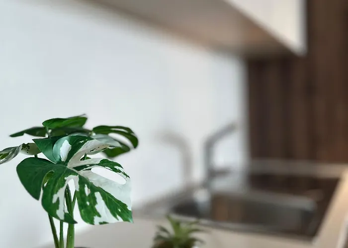 Appartement Whispering Waves At Mercury Tower With Panoramic View , 2x Pools And Gym